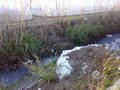 Il canale dei Regi Lagni è quasi interamente intasato dai rifiuti