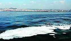 Chiazza nel Golfo di Napoli