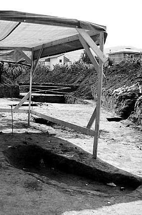 La tomba etrusca ritrovata nel cantiere del termovalorizzatore.